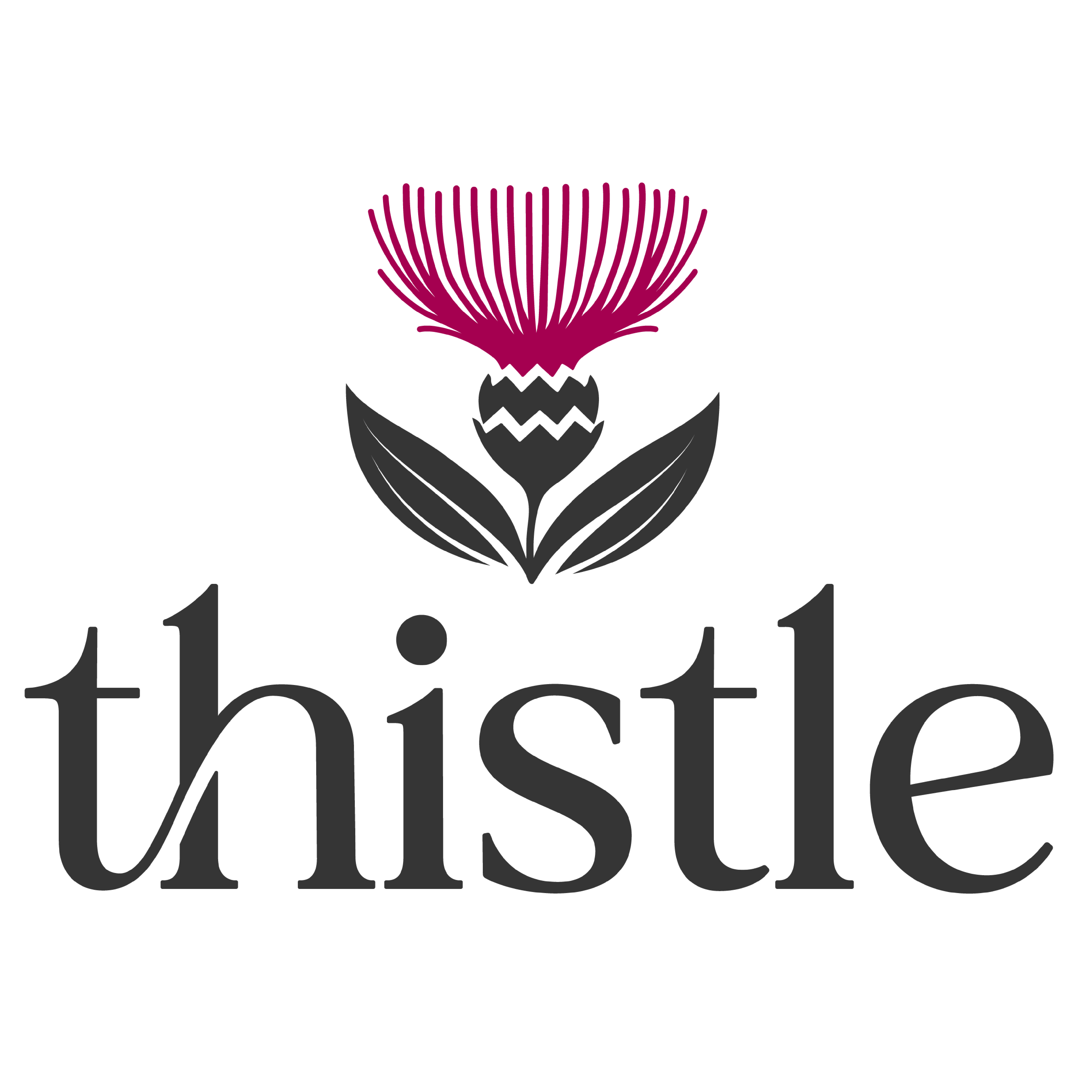 Thistle